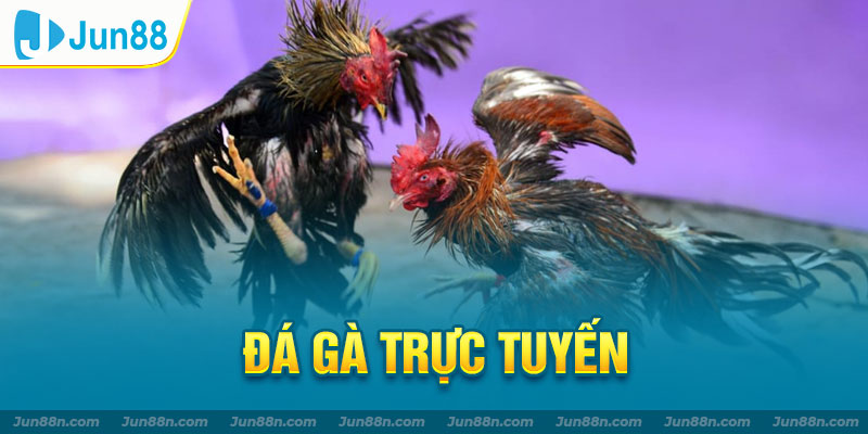 đá gà trực tuyến