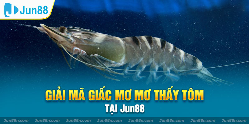 Giải mã giấc mơ mơ thấy tôm tại Jun88