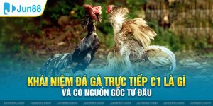 Khái niệm đá gà trực tiếp C1 là gì và có nguồn gốc từ đâu